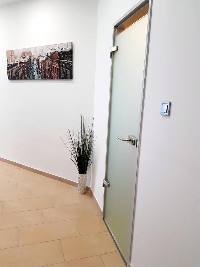 Luxurious Apartment With Balconies In Downtown Bp 부다페스트 외부 사진